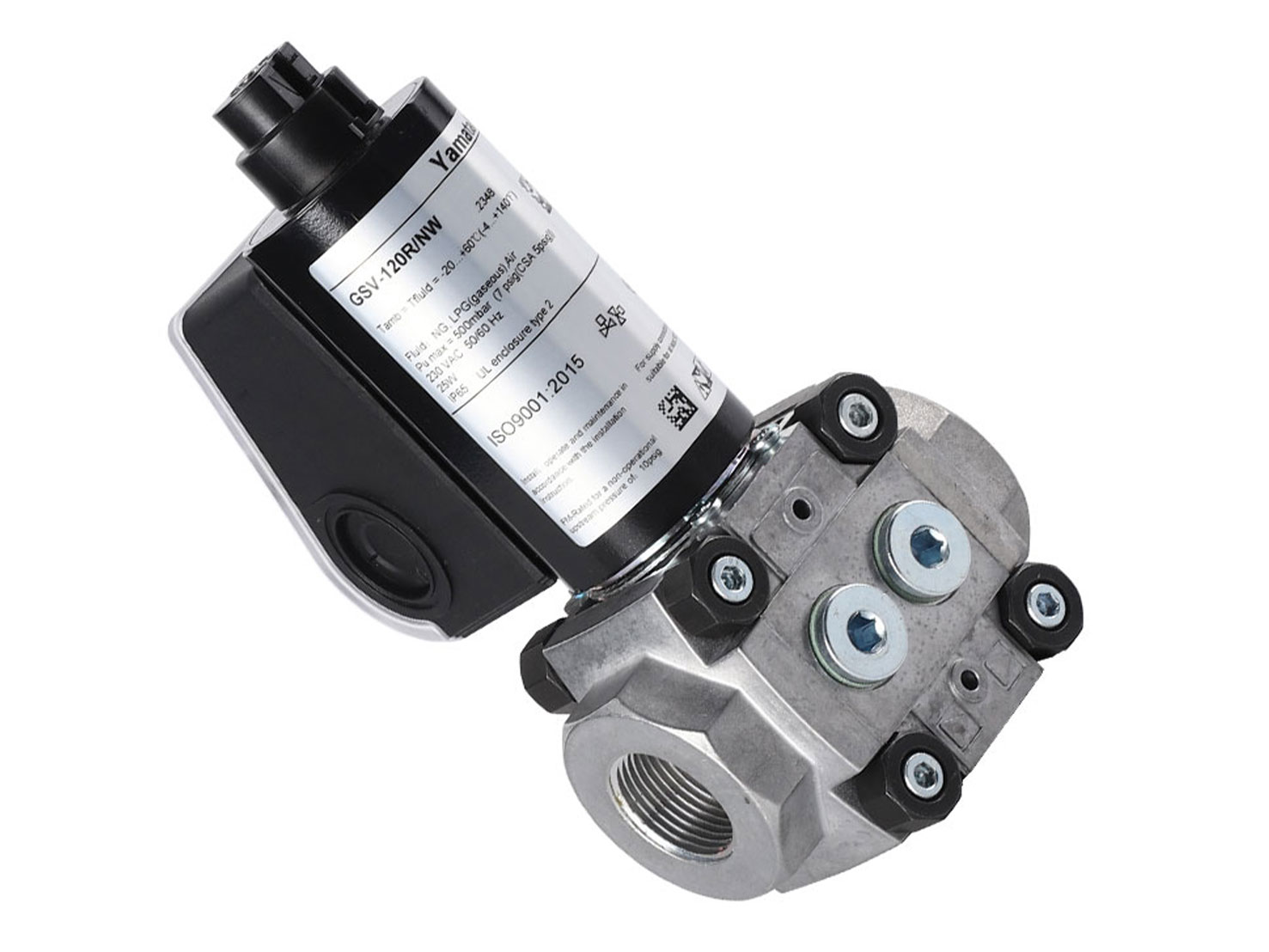 yamataha-gsv-120r-nw (4)